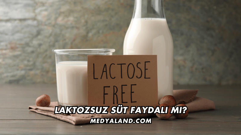 Laktozsuz Süt Faydalı mı