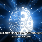 Matematiksel Zeka Nasıl Geliştirilir?