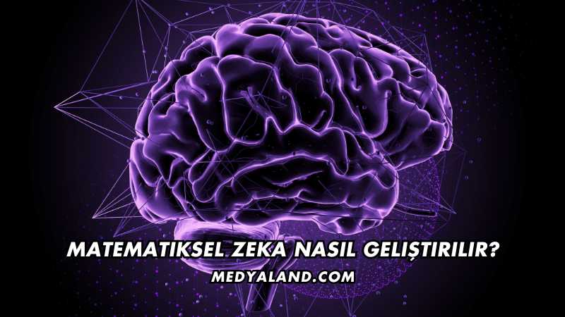 Matematiksel Zeka Nasıl Geliştirilir?