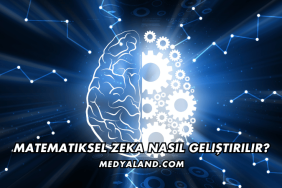 Matematiksel Zeka Nasıl Geliştirilir?