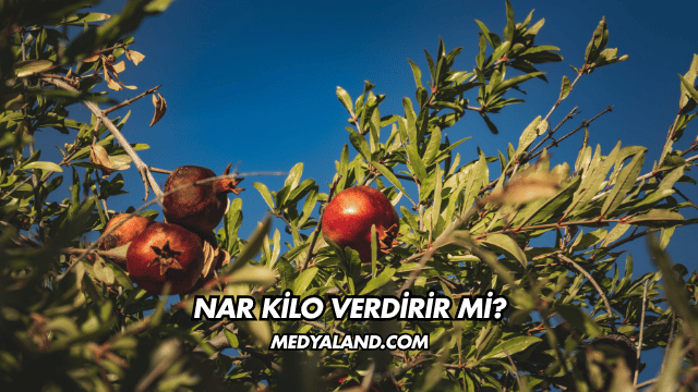 Nar Kilo Verdirir mi?