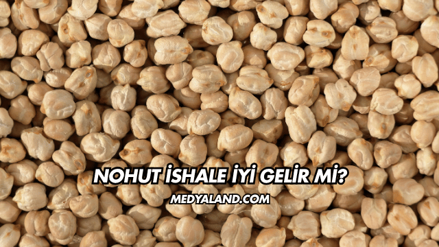 Nohut İshale İyi Gelir mi?