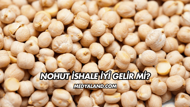 Nohut İshale İyi Gelir mi?