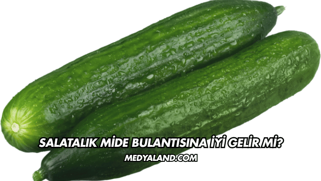 Salatalık Mide Bulantısına İyi Gelir mi?