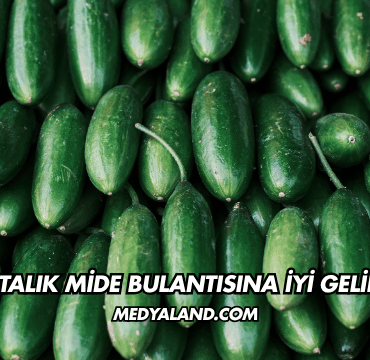Salatalık Mide Bulantısına İyi Gelir mi?