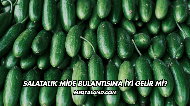 Salatalık Mide Bulantısına İyi Gelir mi?