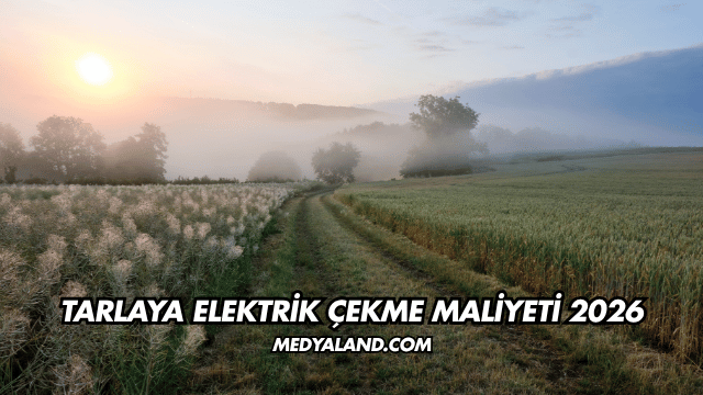 Tarlaya Elektrik Çekme Maliyeti 2026
