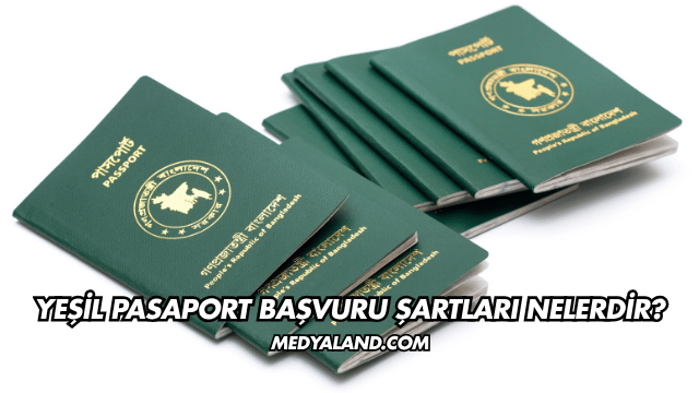 Yeşil Pasaport Başvuru Şartları Nelerdir?