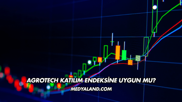 Agrotech Katılım Endeksine Uygun mu?