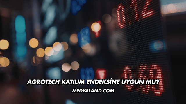 Agrotech Katılım Endeksine Uygun mu?