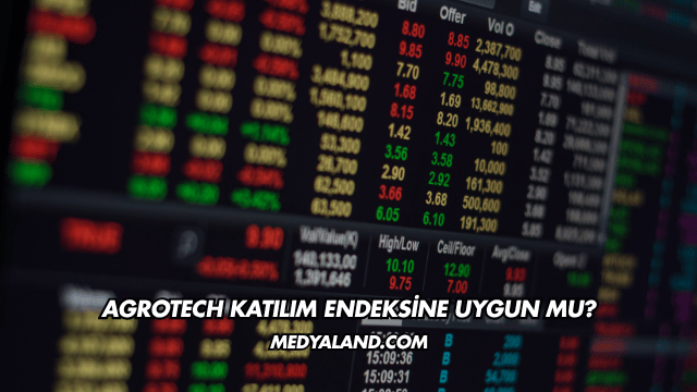 Agrotech Katılım Endeksine Uygun mu?
