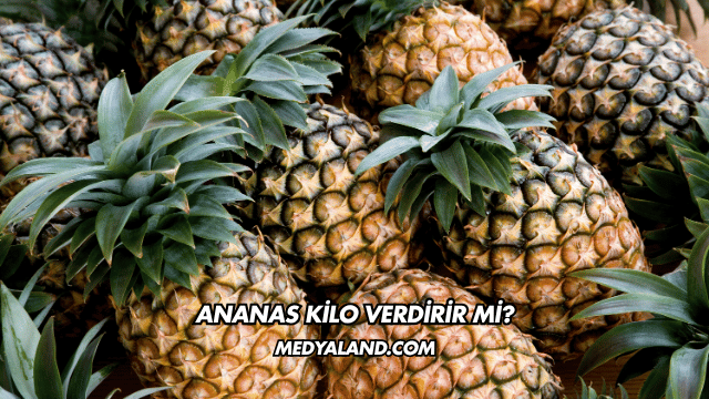 Ananas Kilo Verdirir mi?