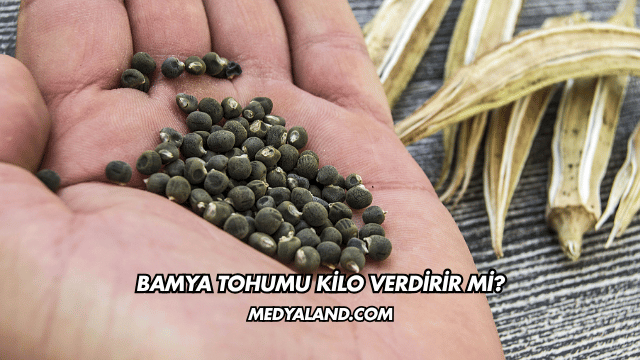 Bamya Tohumu Kilo Verdirir mi?