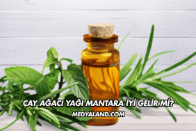 Çay Ağacı Yağı Mantara İyi Gelir mi?