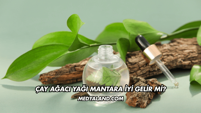 Çay Ağacı Yağı Mantara İyi Gelir mi?