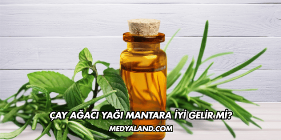 Çay Ağacı Yağı Mantara İyi Gelir mi?