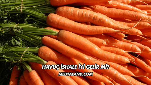 Havuç İshale İyi Gelir mi?