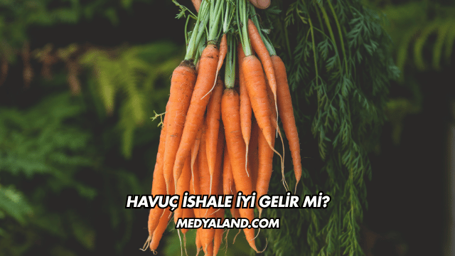 Havuç İshale İyi Gelir mi?