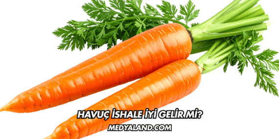 Havuç İshale İyi Gelir mi?