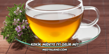 Kekik Mideye İyi Gelir mi?