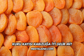 Kuru Kayısı Kabızlığa İyi Gelir mi?