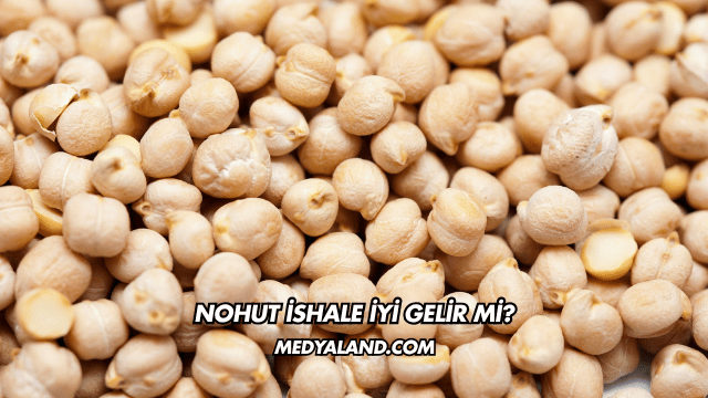 Nohut İshale İyi Gelir mi?