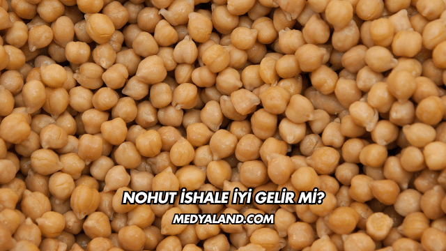Nohut İshale İyi Gelir mi?