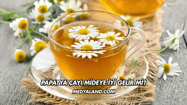 Papatya Çayı Mideye İyi Gelir mi?