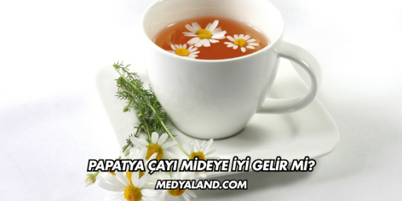 Papatya Çayı Mideye İyi Gelir mi?