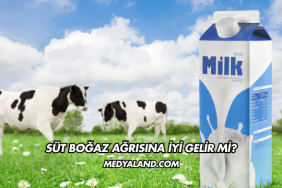 Süt Boğaz Ağrısına İyi Gelir mi?