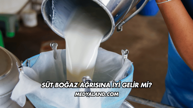 Süt Boğaz Ağrısına İyi Gelir mi?