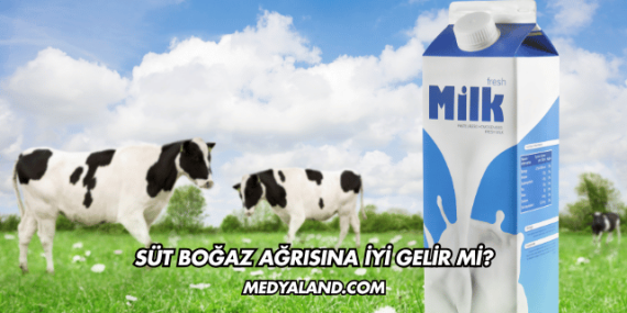 Süt Boğaz Ağrısına İyi Gelir mi?